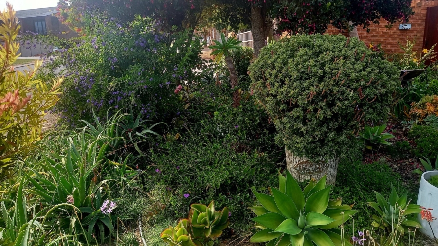 To Let 1 Bedroom Property for Rent in Middedorp Western Cape